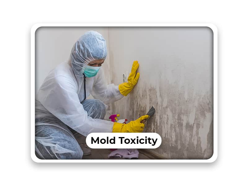 Health Benefits of Using Far Infrared with Mold Toxicity